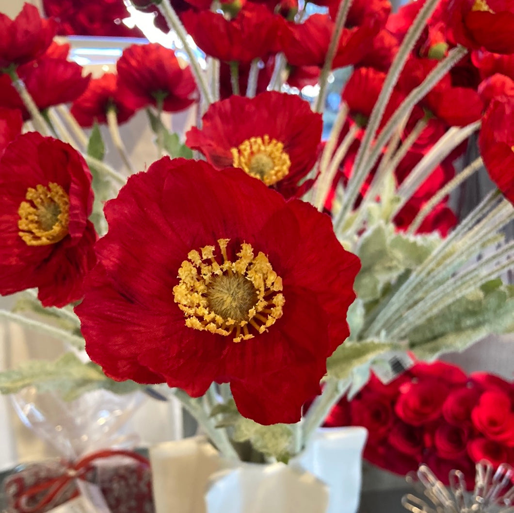 Everlasting Red Poppies